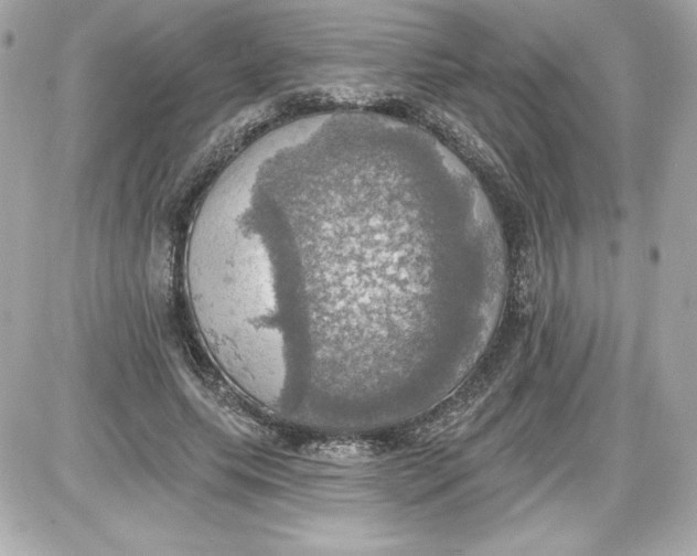 X0000087410639200705111852