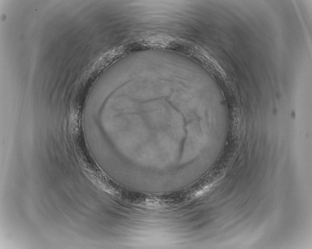 X0000087410641200705111852