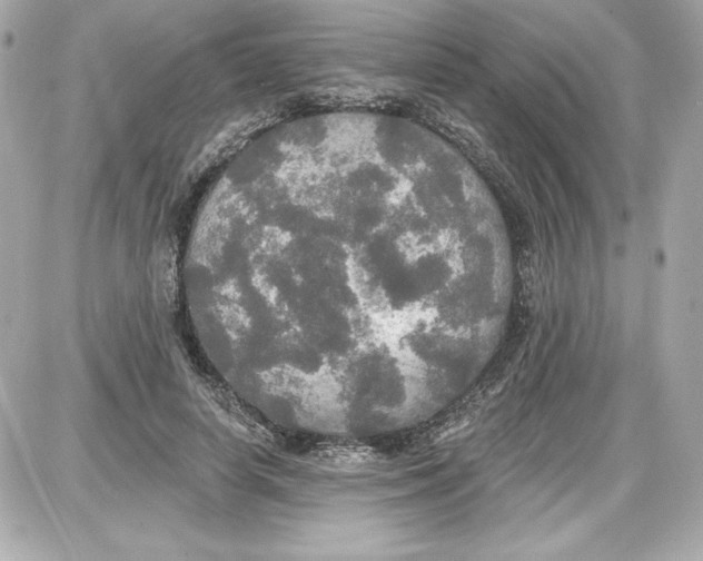 X0000087410642200705111852