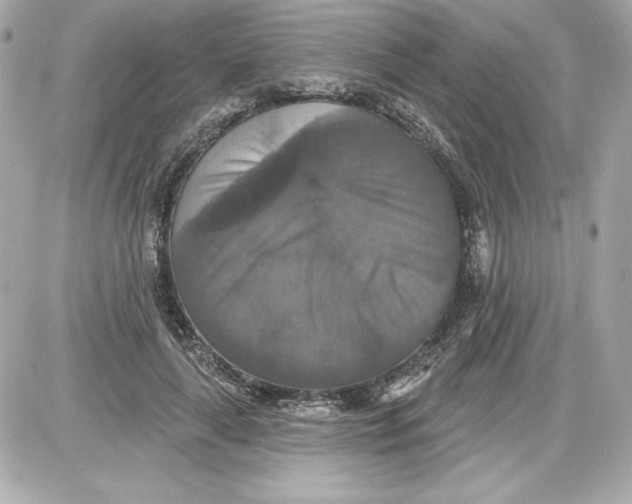 X0000087410643200705111852