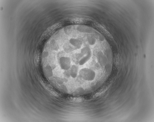 X0000087410645200705111852