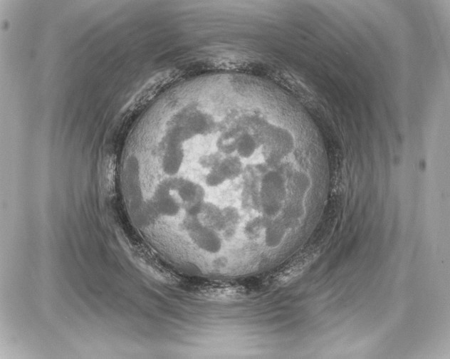 X0000087410646200705111852