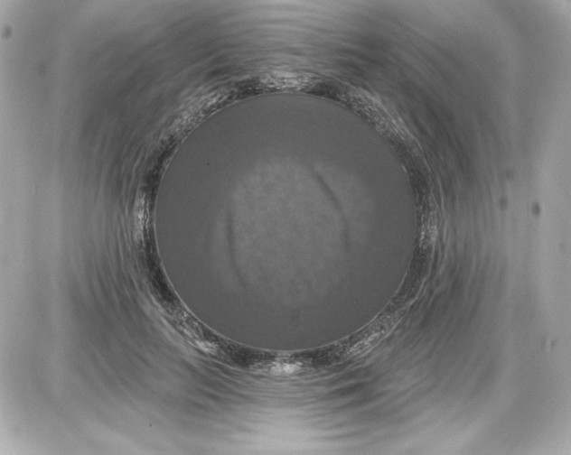 X0000087410647200705111852