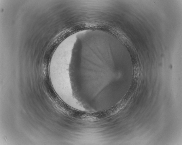 X0000087410648200705111852