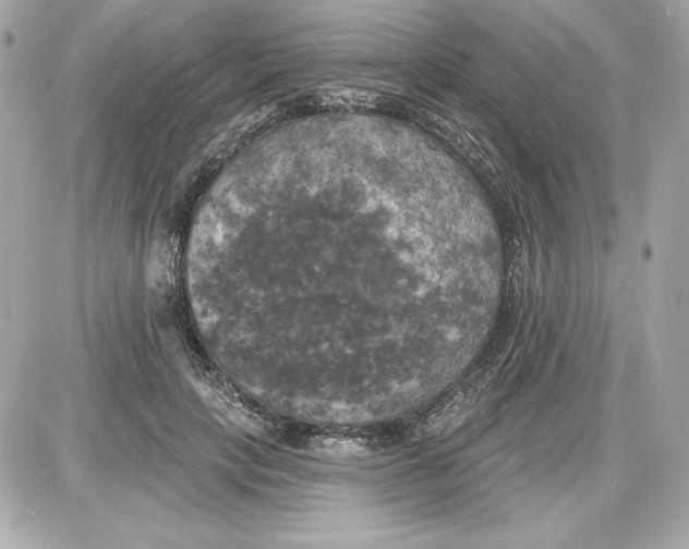 X0000087410649200705111852