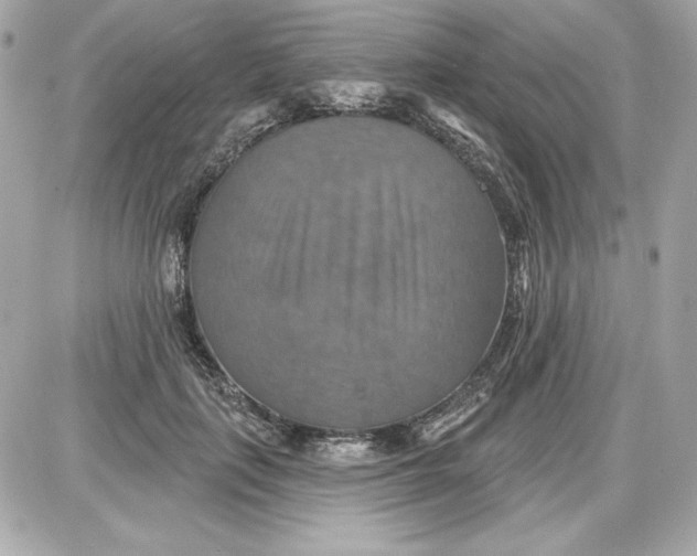 X0000087410651200705111852