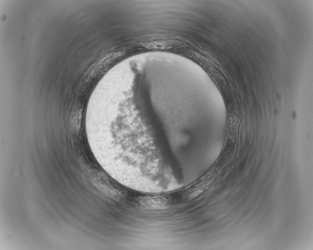 X0000087410652200705111852