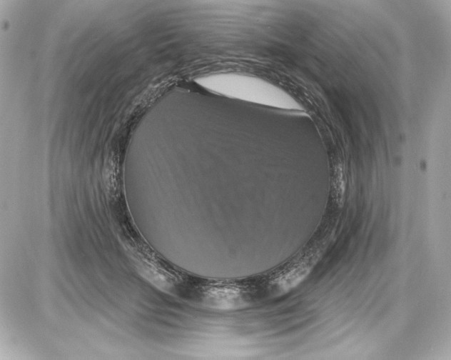 X0000087410653200705111852