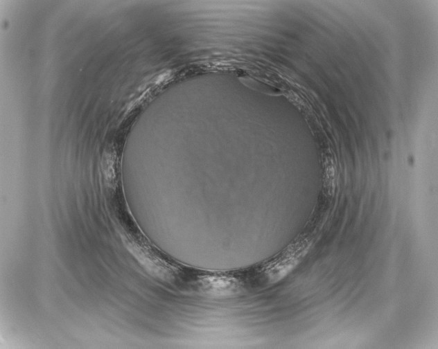 X0000087410654200705111852