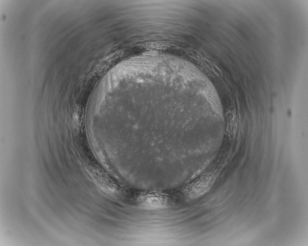 X0000087410655200705111852