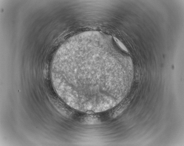 X0000087410656200705111852