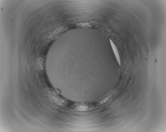 X0000087410658200705111852