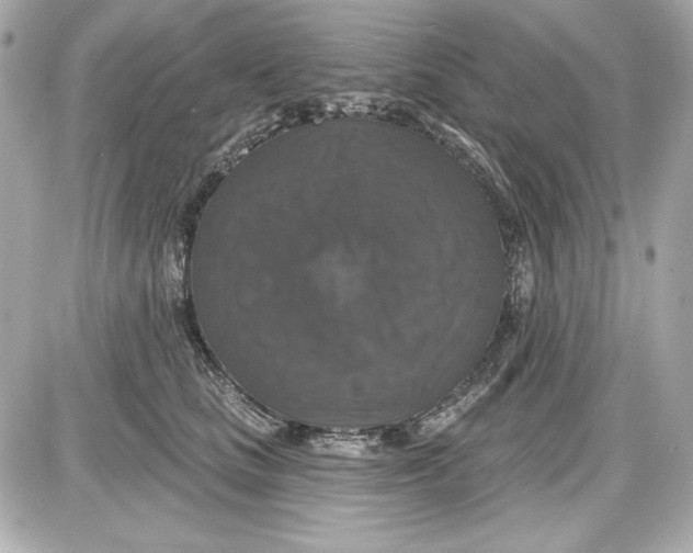 X0000087410661200705111852