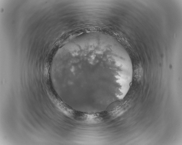 X0000087410662200705111852