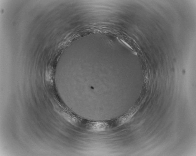 X0000087410663200705111852