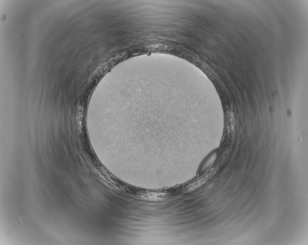 X0000087410664200705111852