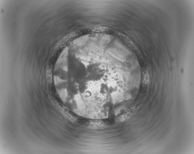 X0000087410666200705111852