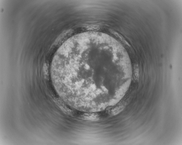 X0000087410667200705111853