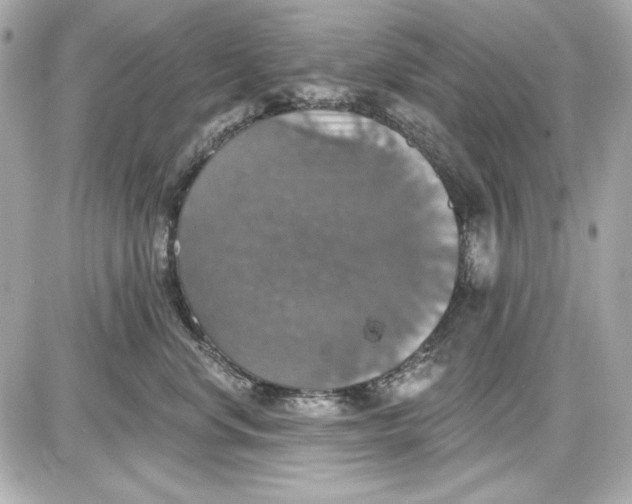 X0000087410668200705111853