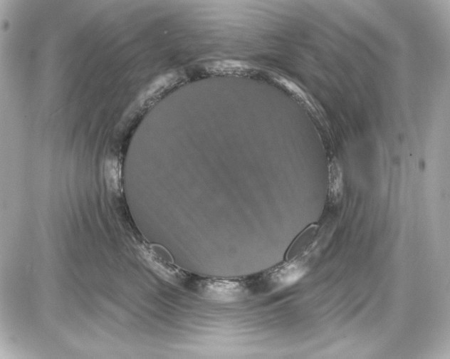 X0000087410669200705111853