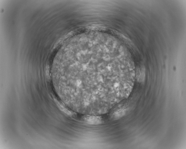 X0000087410670200705111853