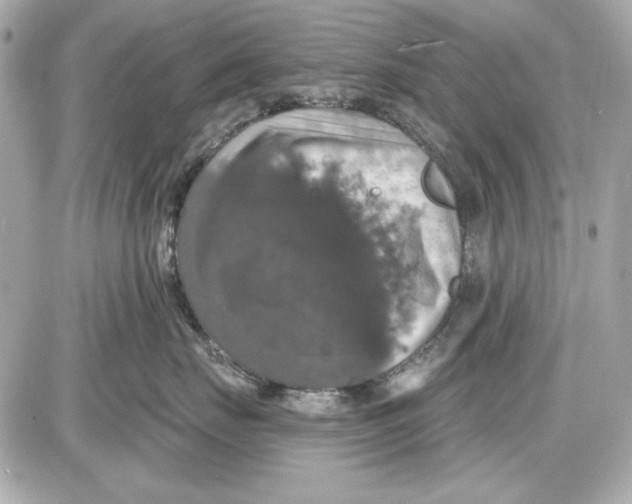 X0000087410671200705111853