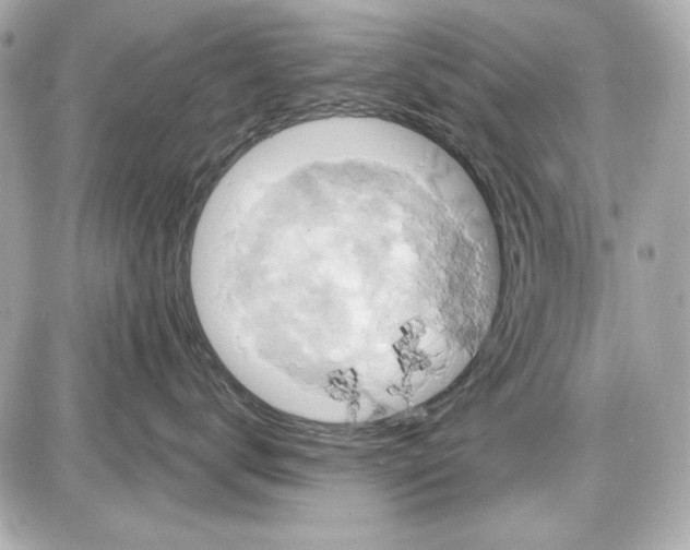 X0000087410672200705111853