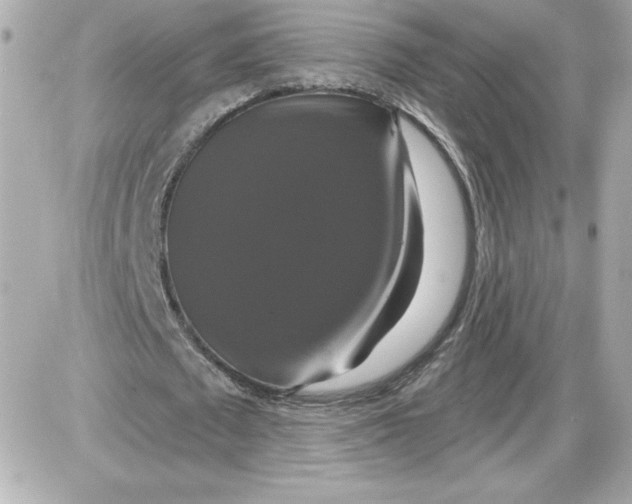 X0000087410673200705111852