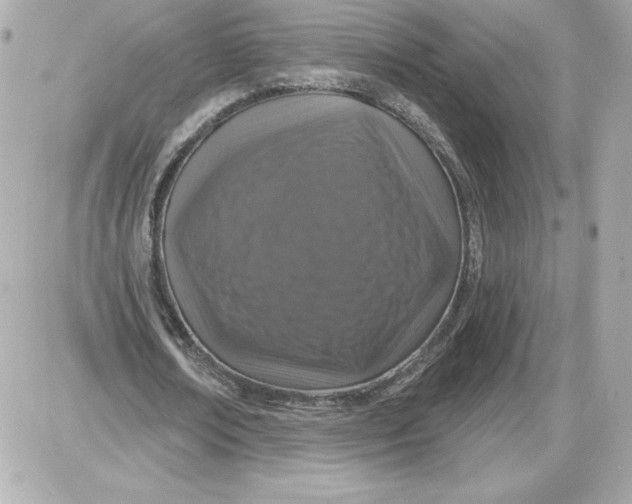 X0000087410674200705111852