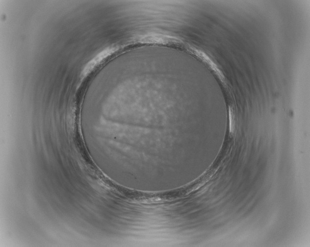 X0000087410675200705111852