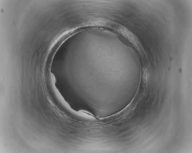 X0000087410676200705111852