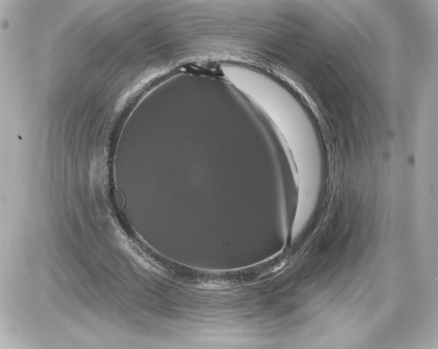 X0000087410677200705111852