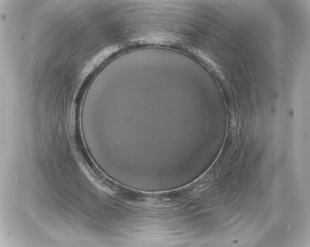 X0000087410678200705111852