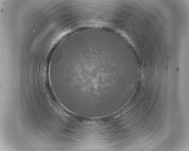 X0000087410679200705111852