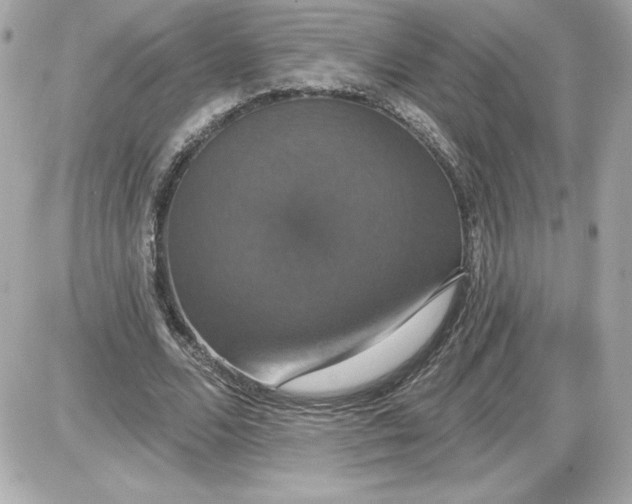 X0000087410680200705111852