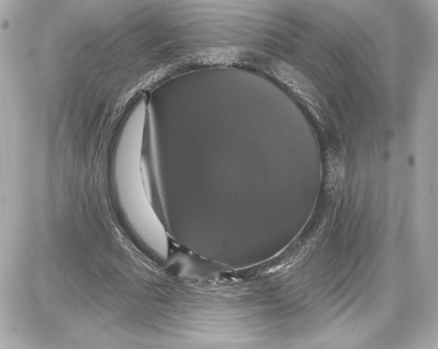 X0000087410681200705111852