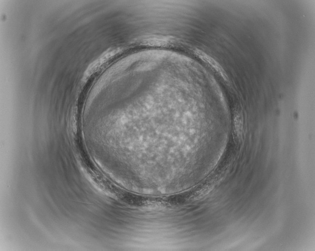 X0000087410682200705111852