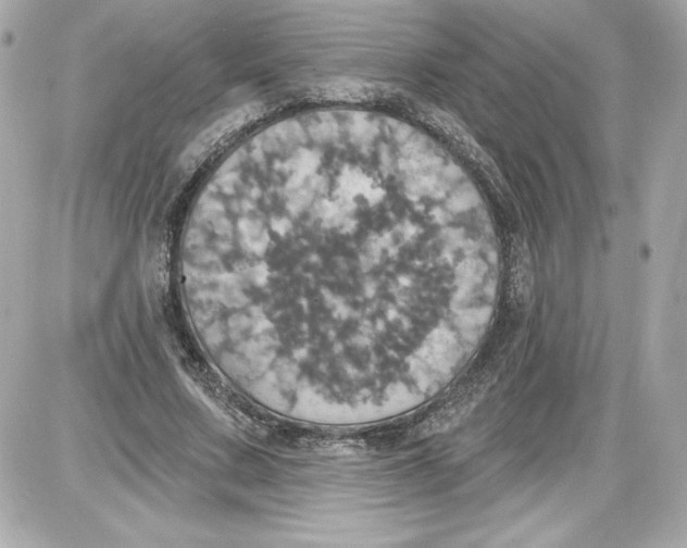 X0000087410683200705111852