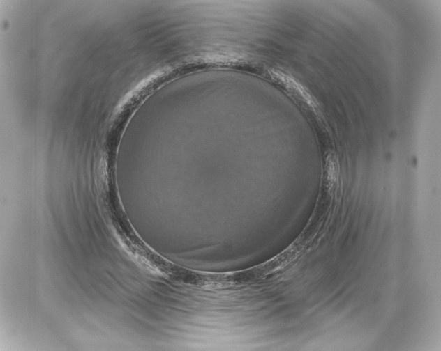 X0000087410684200705111852