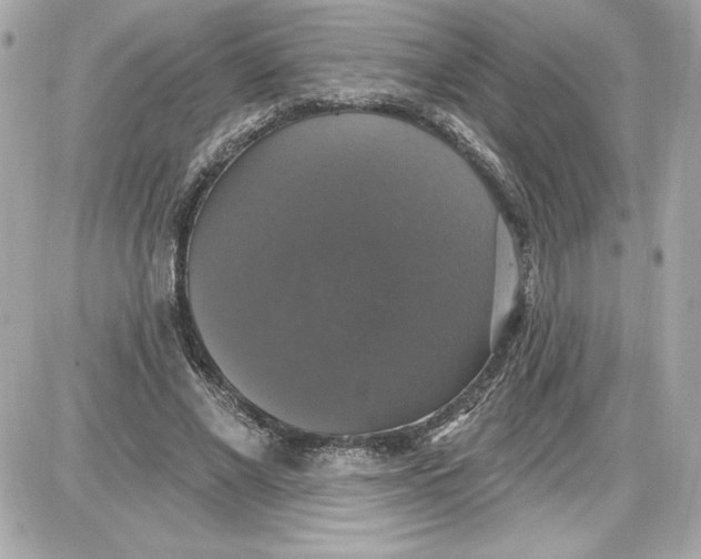 X0000087410685200705111852