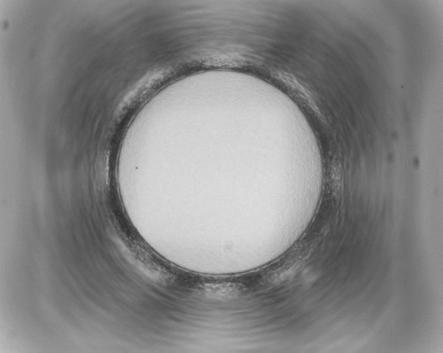 X0000087410686200705111852