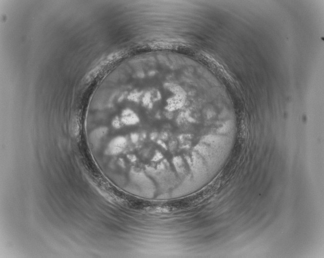 X0000087410687200705111852