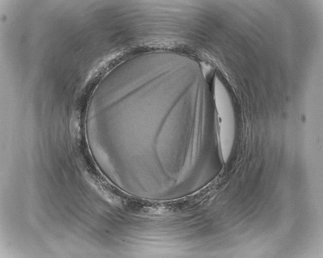 X0000087410688200705111852