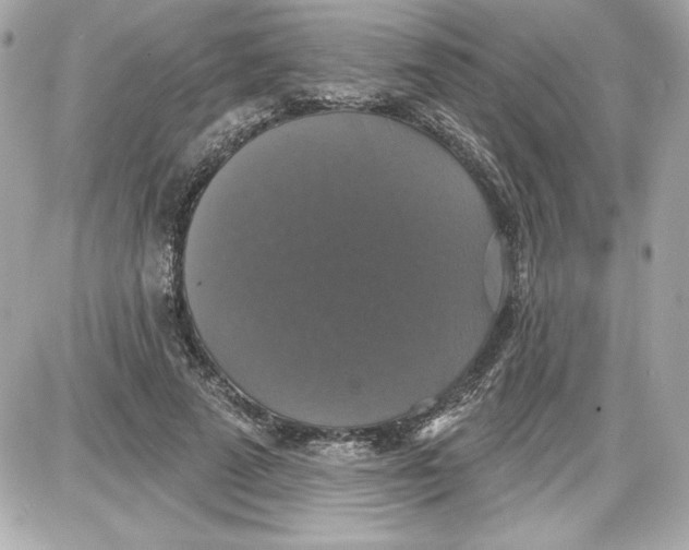 X0000087410689200705111852