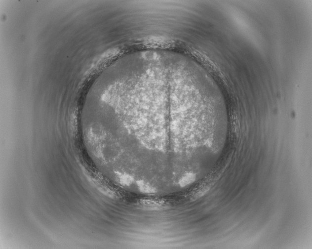 X0000087410690200705111852