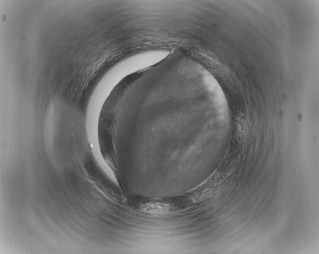 X0000087410691200705111852