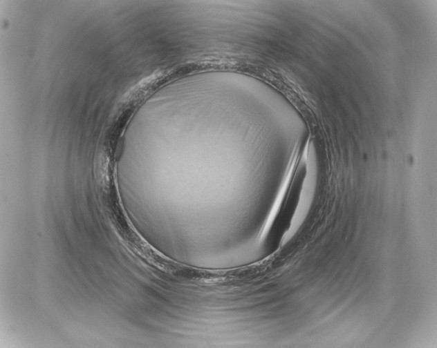 X0000087410692200705111851