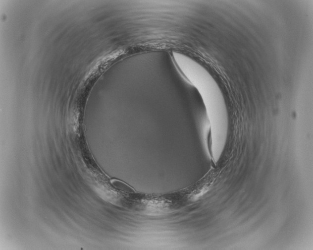 X0000087410693200705111851