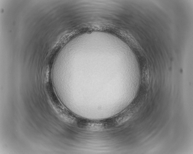 X0000087410694200705111851