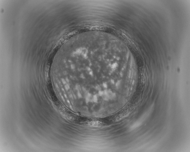 X0000087410695200705111851